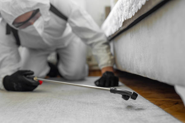 Professional Pest Control technician working in Sumter County County, AL